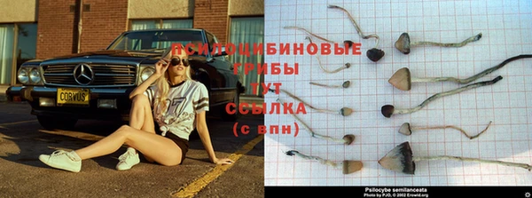 мескалин Баксан